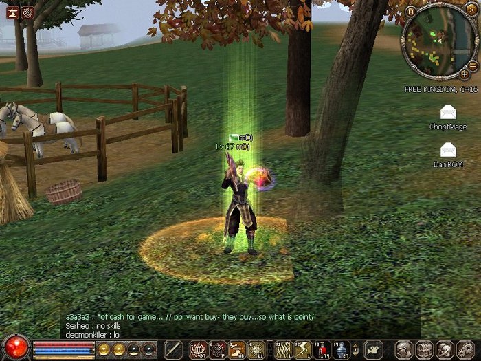 0204_234829 - Metin2 us mDj light mage