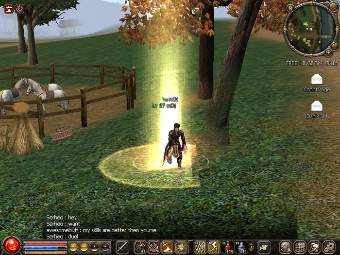 0204_234843 - Metin2 us mDj light mage