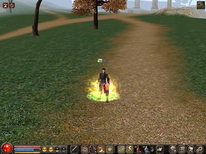 0204_234922 - Metin2 us mDj light mage