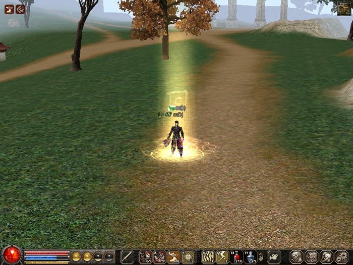 0204_234925 - Metin2 us mDj light mage