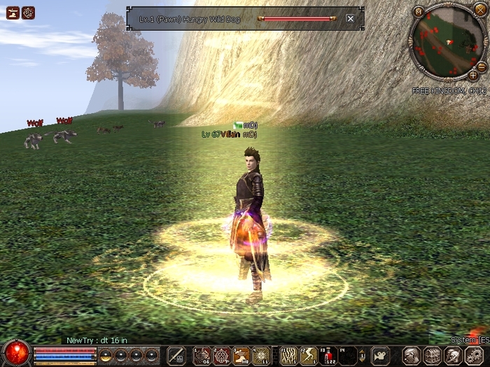 ScreenShot012 - Metin2 us mDj light mage