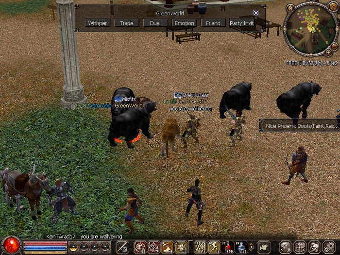 ScreenShot021 - Metin2 us mDj light mage