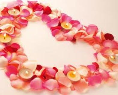 valentine's day; iubire din petale de trandafiri
