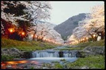 peisaj uimitor din japonia - Japonia