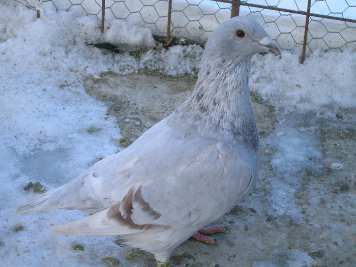 DSCN1200; M Dec. 2010
