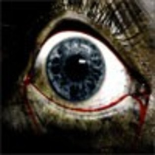 ochi-albastru-insangerat-avatare.ro_thumb