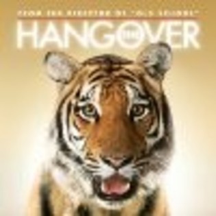 the-hangover-tiger-avatare.ro_thumb - avatare filme