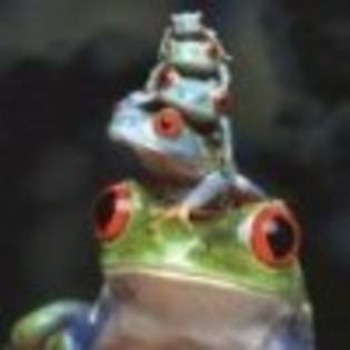 turn-de-broscute-avatare.ro_thumb