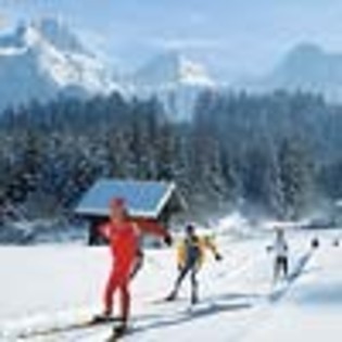 schi538-avatare.ro_thumb