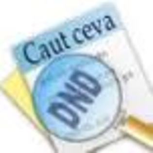 ceva