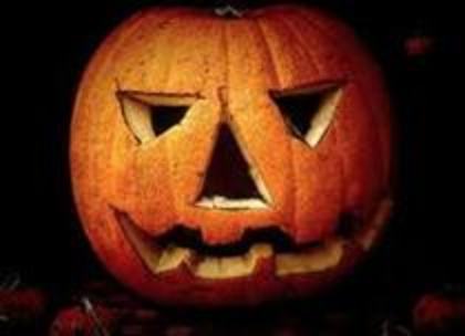 30526306_QGGQUUDRE - poze halloween