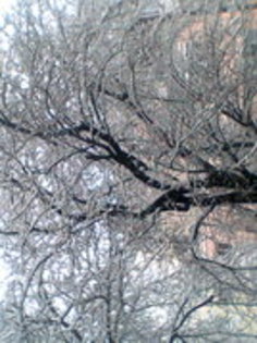 30216964_HZEMUKNXV - super peisaje