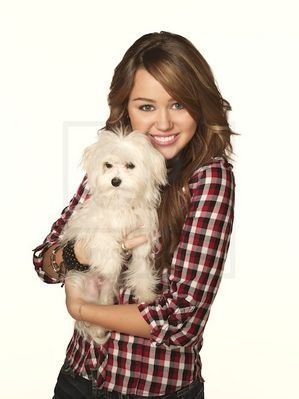 26311_1259863422136_1396194475_30597125_948541_n - miley facebook