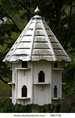 stock-photo-bird-nesting-box-386736 - Voiajori ALBI pentru Nunti BRASOV