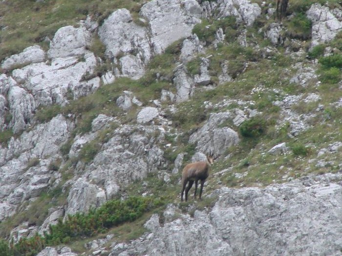 39491_1230738787788_1808681640_457515_7973521_n