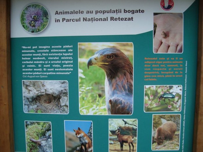 39491_1230738907791_1808681640_457518_8377647_n