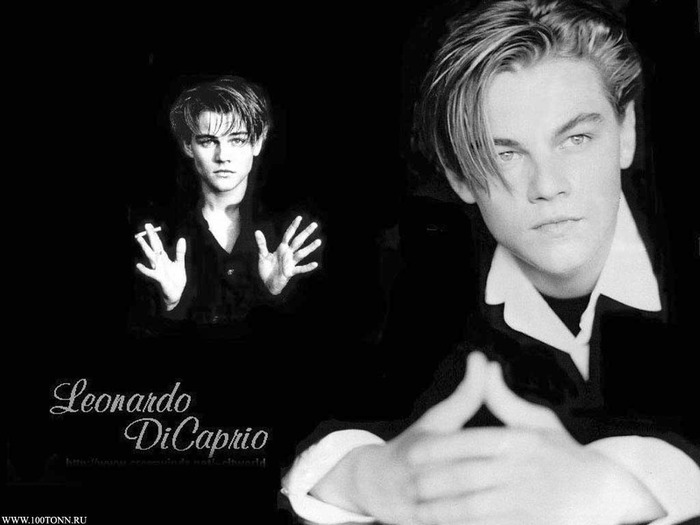 Leonardo-DiCaprio-leonardo-dicaprio-192793_1024_768 - Leonardo Dicaprio