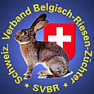 Logo_Schweiz-urias belgieni - 4atentie cind cumparati iepuri