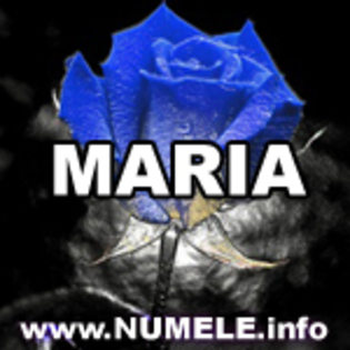MARIA imagini cu nume - poze avatare