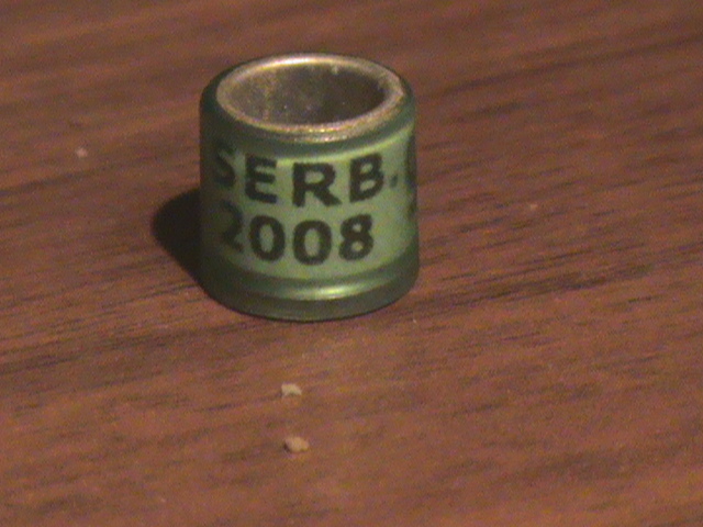 DSC02265 - Serbia