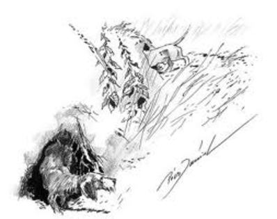 2YO7CAMZ78OKCAI9DMLKCAMHDZTQCAMPLLUJCA2O0KGSCAJDVS16CAF61CDMCAJ1MHKECANY8GMKCAPHH0F1CAIR93OACAFRNZA6