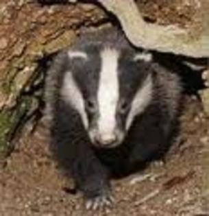 6E5OCA7Z0B5ICAIEWR8DCA36V88XCAV7XJ6ACAA36RSXCAVUUZCGCAT0ZDQPCAKSLW6ECA0515IHCA5ASJQOCAKLXFHRCAPRY4WF