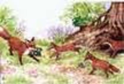 F0C8CAT2LINUCAEHHKO8CA0A78K6CA2LNFZ4CABILR1ACAVDNDHSCA1LE4YFCAM51LLECAQ8WJ3WCAYWOMNKCAVMK02HCA3AOK69