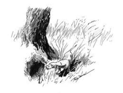 Q3FCCAQG8KK5CACRY1ACCAC1KQIRCAWOR0FRCA3H7IS6CAEN65RXCA91A6GZCAE4WO75CA2WO729CAGIDBOXCAZDJZ4CCAK01GR8