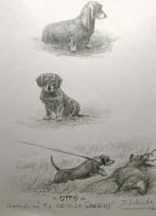 S3OXCA2FO9OBCAP90UD7CA5A5QN4CA11CPDNCACL868FCAS0N41DCA9QOEYNCA2K2Y3NCACUKZNNCAQ25B1LCAFJAT8XCAE31VUH