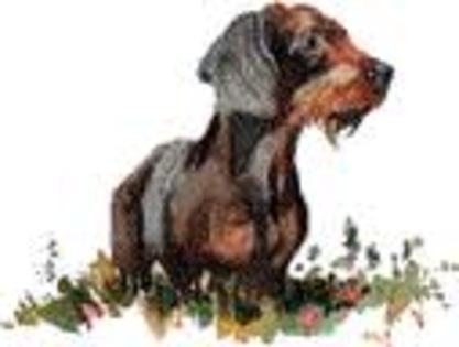 VEEWCAMZR2QACAX0JVSSCAKJVUWTCA15PZJVCA2VNS24CACY4S53CAG9LKZBCA9MGPC2CA4TORW3CA3ZU6OXCA6U6AHKCALG13EY