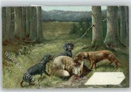 XHZOCAPCSY7ECAJPWADQCAMKCFGECAXOTSHPCA4HHG9SCAJQCZ0BCA9PJRSPCA9VP918CARKH17ZCAOLKVTECAUV87GKCA9KRX40