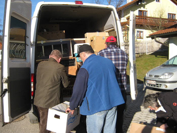 gata plecam spre casa -sevus H.N