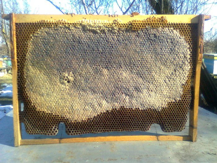 Rama cu miere capacita pentru extractie - Apicultura