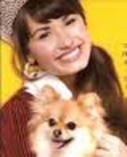 mfghmvg - poze supeeee tari