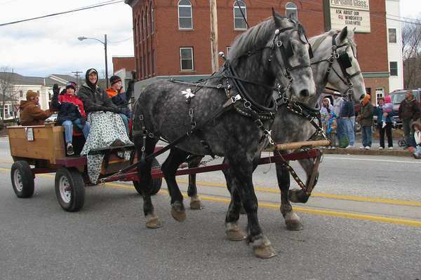 NORholidayparade7P112909 - CAI percheron