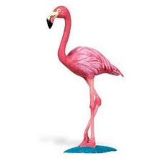 Bi - flamingo roz