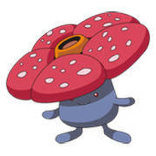 IJTGFEHGZQKWPUNOMJM - Cateva PoZe Cu PoKeMoN