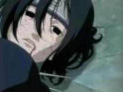 SSFIRBAAFUWPPRRTKRU - Cateva PoZe Cu NaRuTo