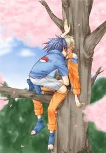 CM8CAMNP117CAQSVVPQCAQG4F25CA189QQRCANRHVD3CA1URO29CAD3QX3RCAXTEJVTCAT4GRMQCA3SPJTUCATM1ZGLCA7OKYDWC - Cateva PoZe Cu NaRuTo