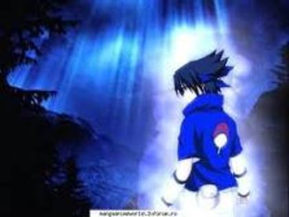 VW6CA3SYL7UCAGOOSM3CAROXSAACAFRRZI7CAJM74FYCA8W37ANCASHSRI3CAIR3XR4CAJUOF60CADZAQEVCAC69UA2CAC3I312C - Cateva PoZe Cu NaRuTo