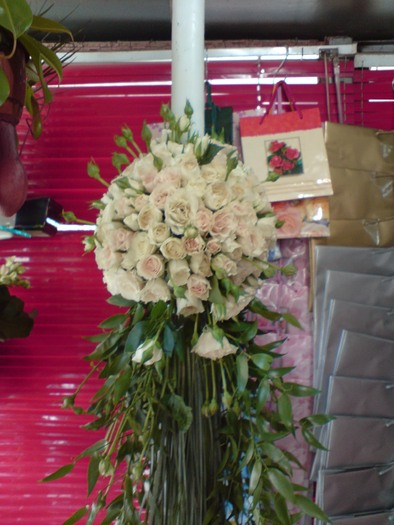 DSC06102 - Florile Alinei