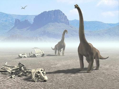Poze Wallpapers 3D Imagini cu Dinozauri de Wallpaper - dinozauri