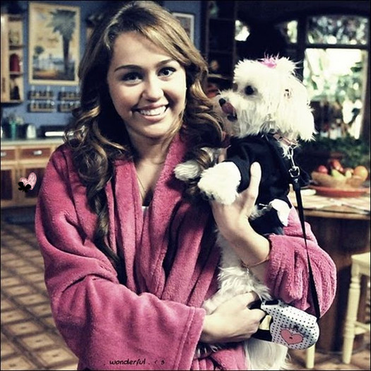 28950090_MKAZTHWTS - miley cyrus