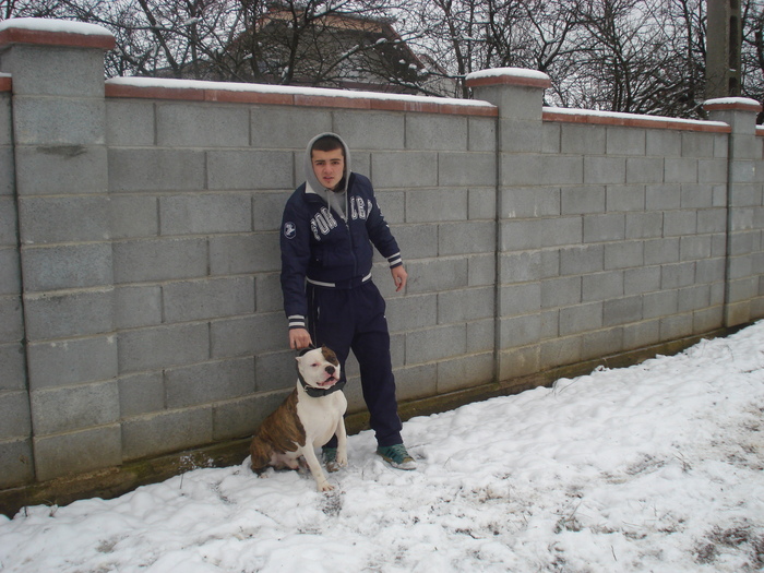 DSC07910 - Pitbull