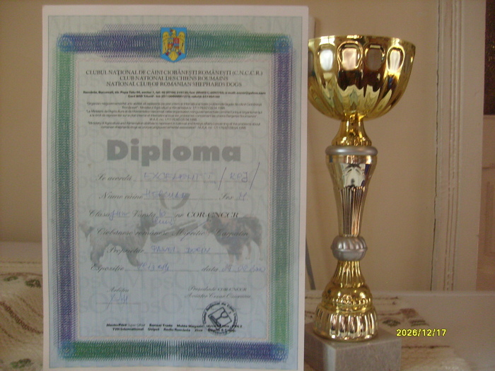 S7300127 - DIPLOME SI CUPE