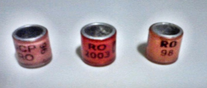 P080211_1849 - inele de colectie
