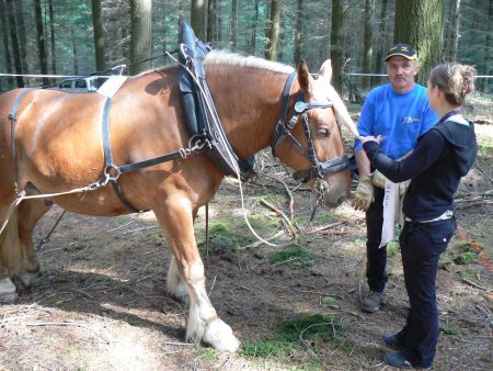 019-202020montagny.JPG.medium