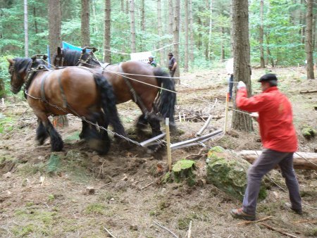 032-333333montagny.JPG.medium