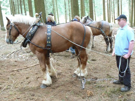 070-717171montagny.JPG.medium