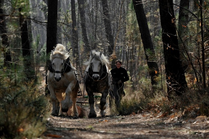 c-salle-arche--num047-7